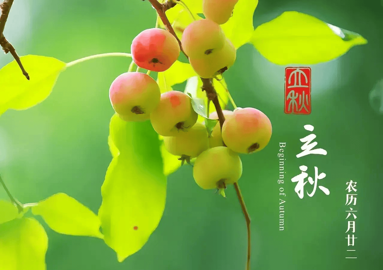 “立秋不吃酸，秋冬人难安”，立秋将至，记得吃“5酸”，润燥又开胃
