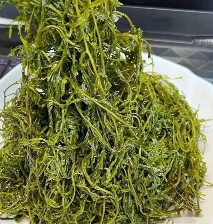 原创            “长寿菜”原来是它，一排毒，二强免疫，三抗衰老，便宜又营养