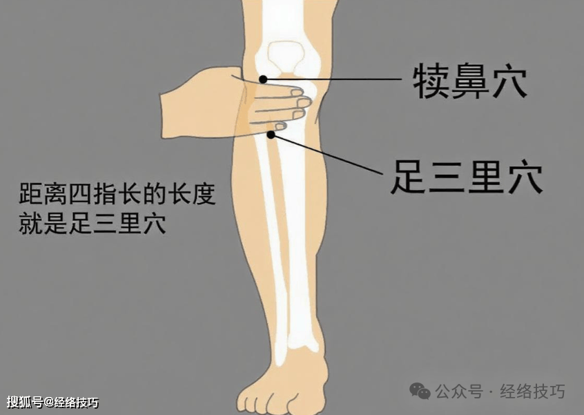 原创            秋困湿气重？试试按这三个健脾祛湿穴位