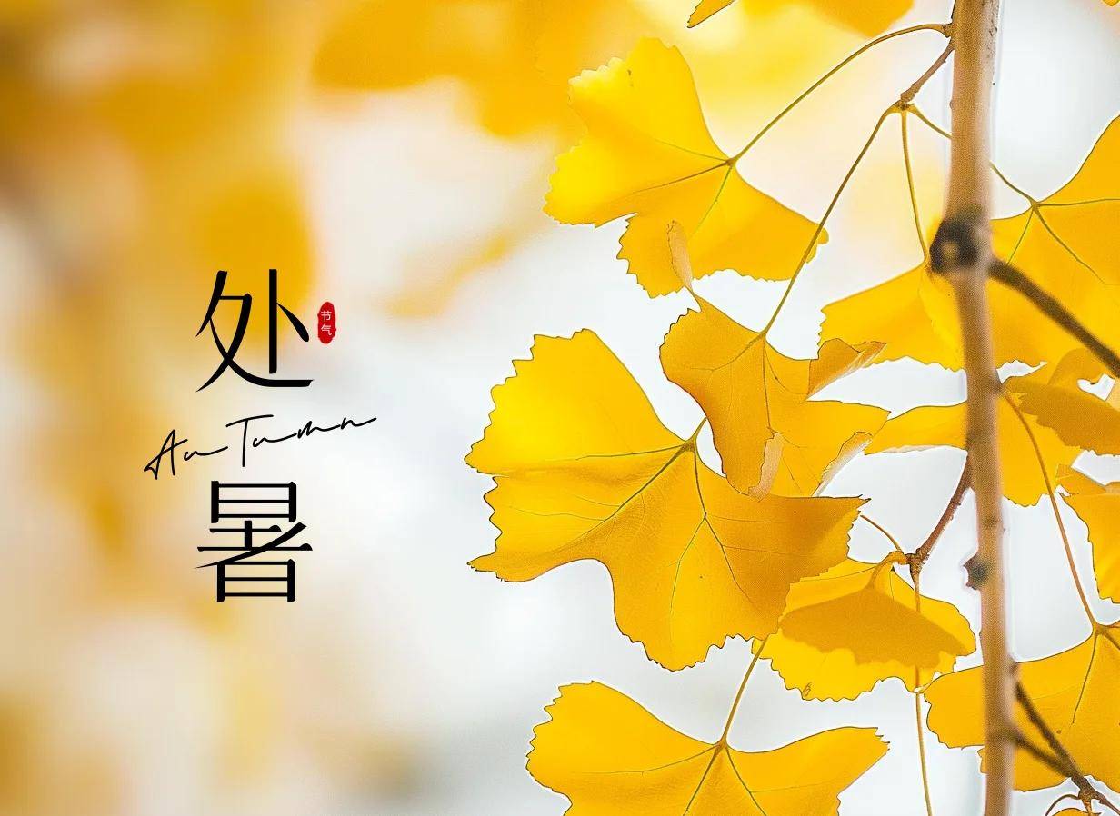 原创            处暑要忌嘴！建议：少吃发物和热物，多吃这5样，清润去燥不上火