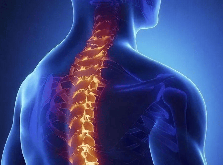 脊髓损伤离我们有多远？常见成因与早期信号