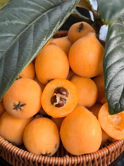 自制枇杷酒的做法，享受纯正果香，掌握这些细节