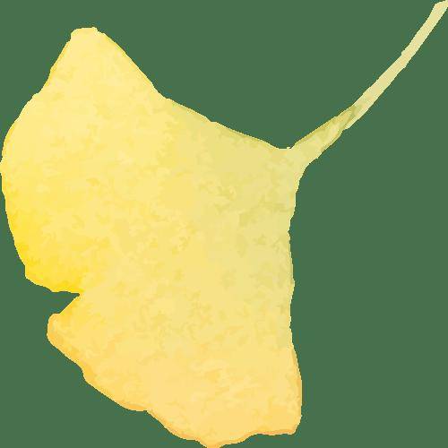 守护儿童视力健康的这种维生素需要额外补充吗？