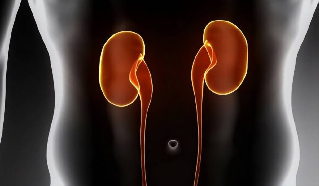 原创            每天吃点坚果可以养肾固精？可你知道，到底要吃哪几种坚果吗？