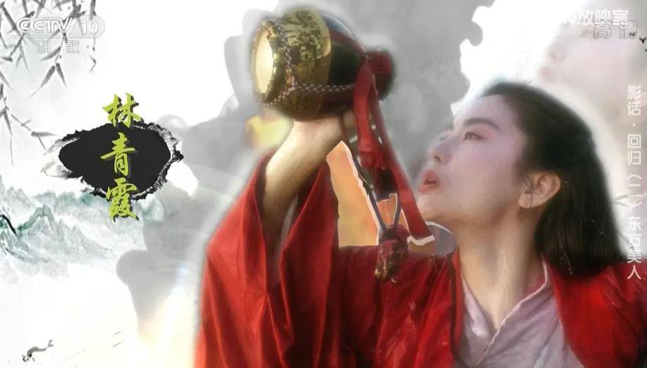 号称“经典”的4部综艺，好评如潮看点十足，哪部是你的青春？