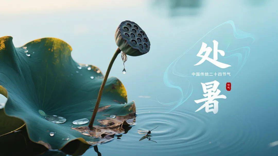 【广医科普】处暑节气到，关爱脾胃健康