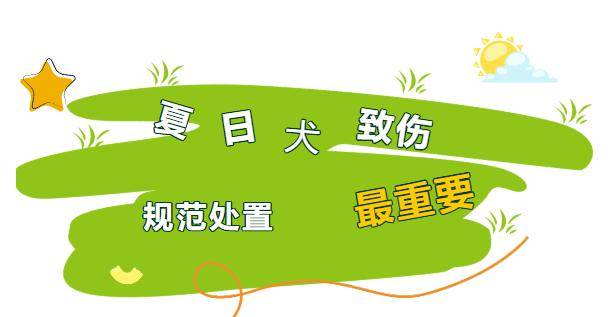【北京疾控提醒您】夏日犬致伤，规范处置最重要