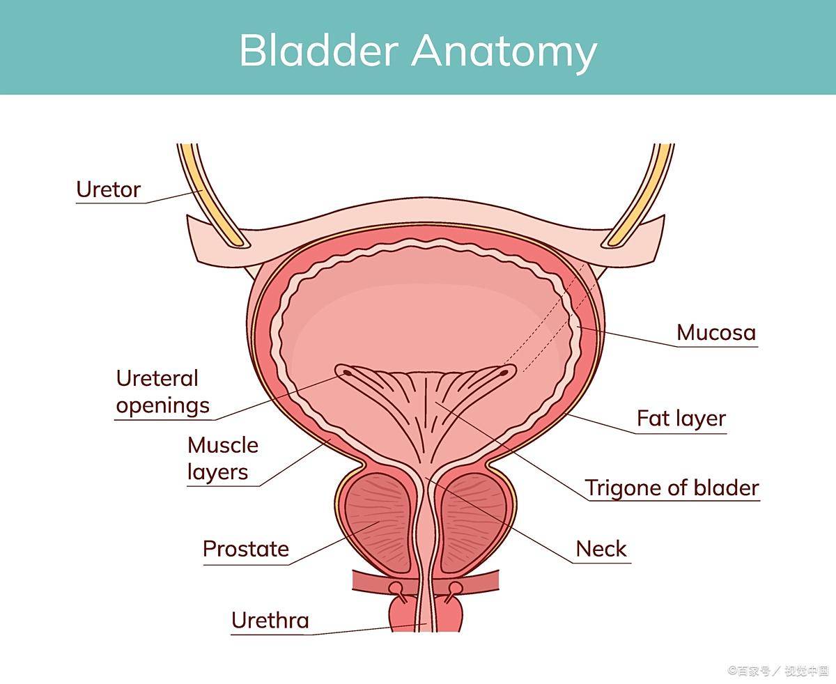 湖南逸创医疗：前列腺保养日常可以做什么呢？