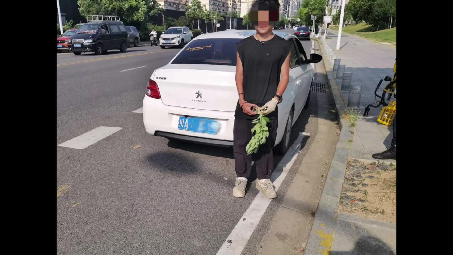 用树枝“藏牌”？两司机故意遮挡号牌被交警当场“抓包”