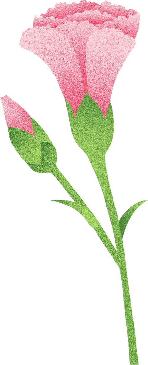 专病门诊︱痛经、下腹痛、同房痛……久治不愈？女性盆腔疼痛专病门诊，快与痛说再见！