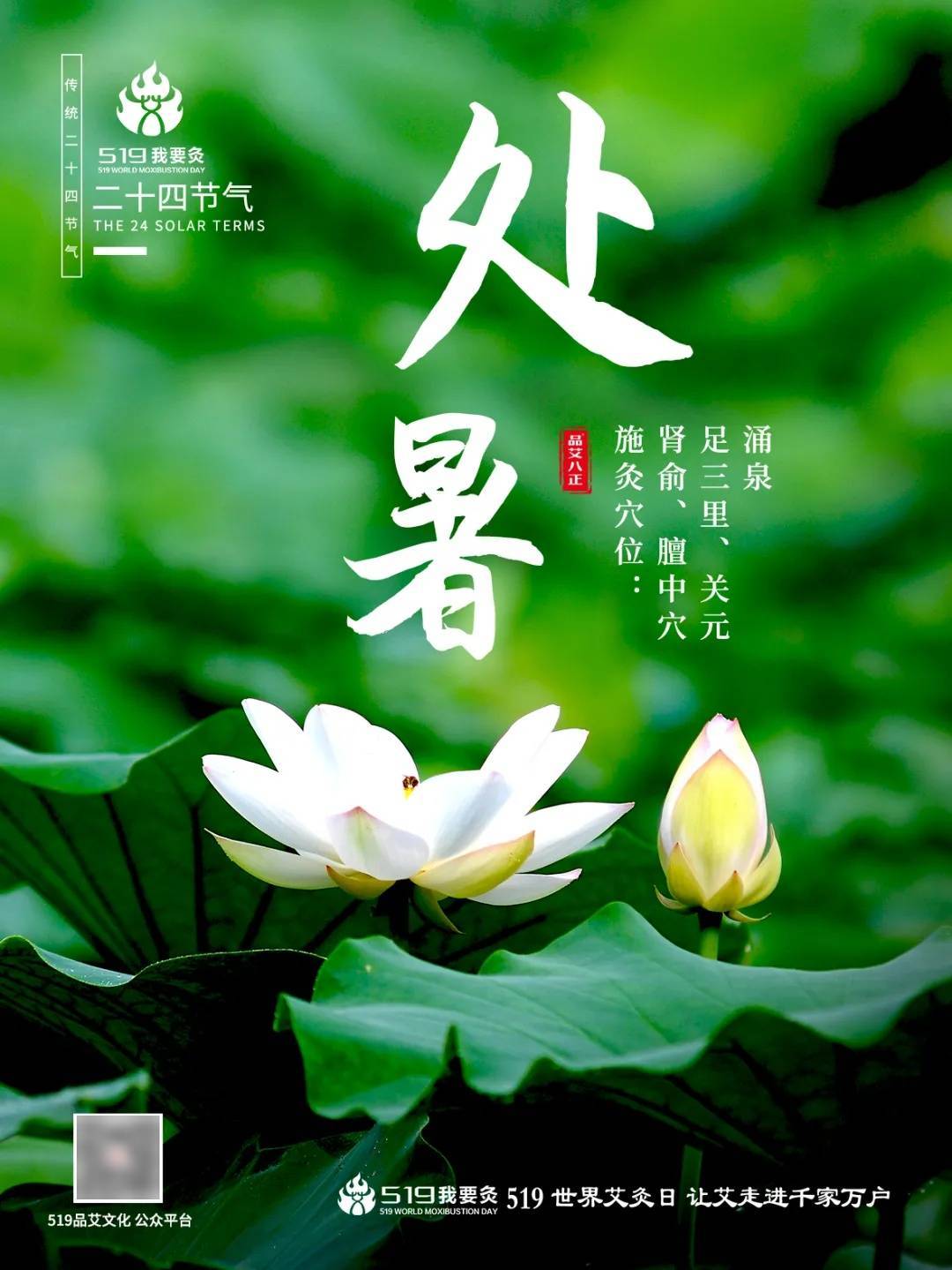 519我要灸||二十四节气之处暑 注意几点，这个秋天不生病