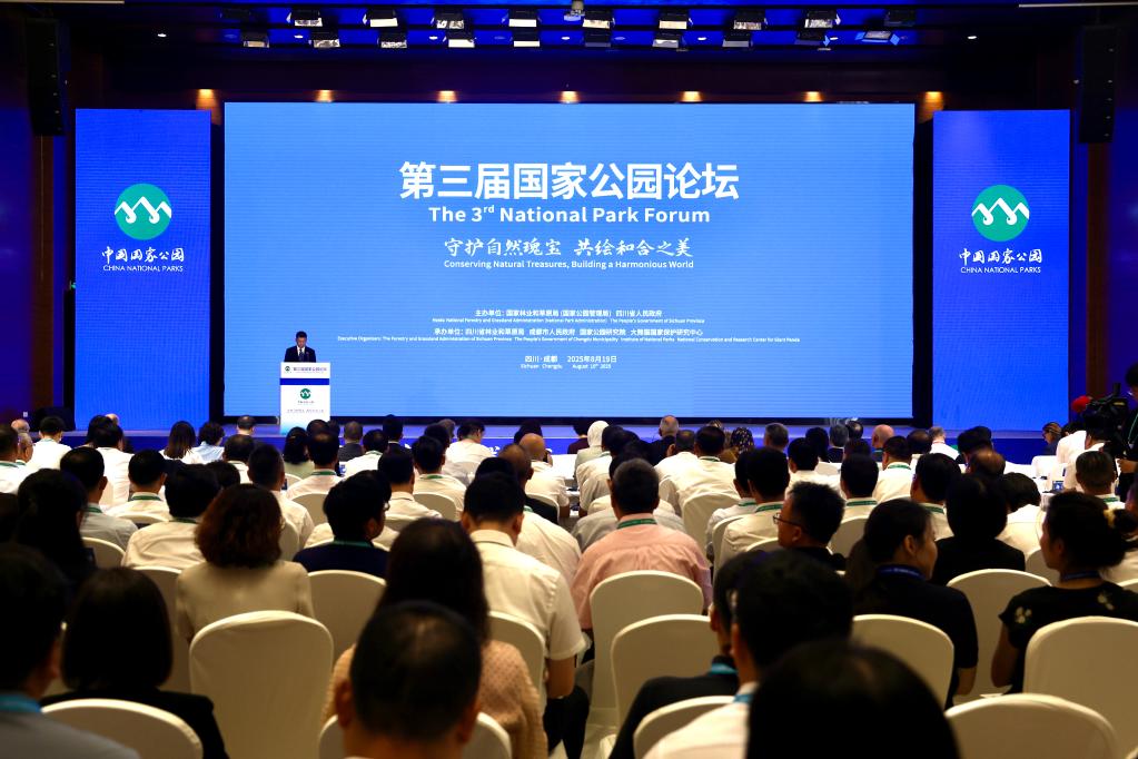 国家公园体系持续完善 四川大熊猫野外监测年遇见数升至185只