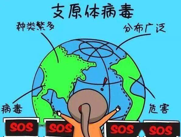 你听说过生殖支原体吗？这种“难缠”的性传播病原体，了解它才能更好防范