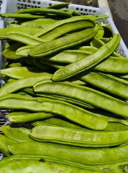 原创            这菜大量上市，钾含量是黄瓜6倍，中老年人常吃，补钾通便抗衰老