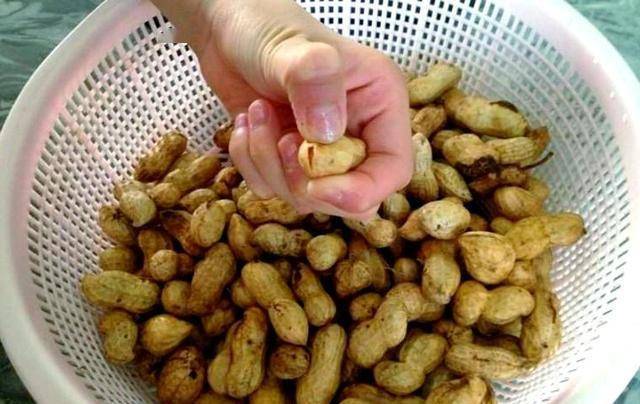 调查研究：老年人若坚持吃花生，过不了几个月，身体或有5种好处