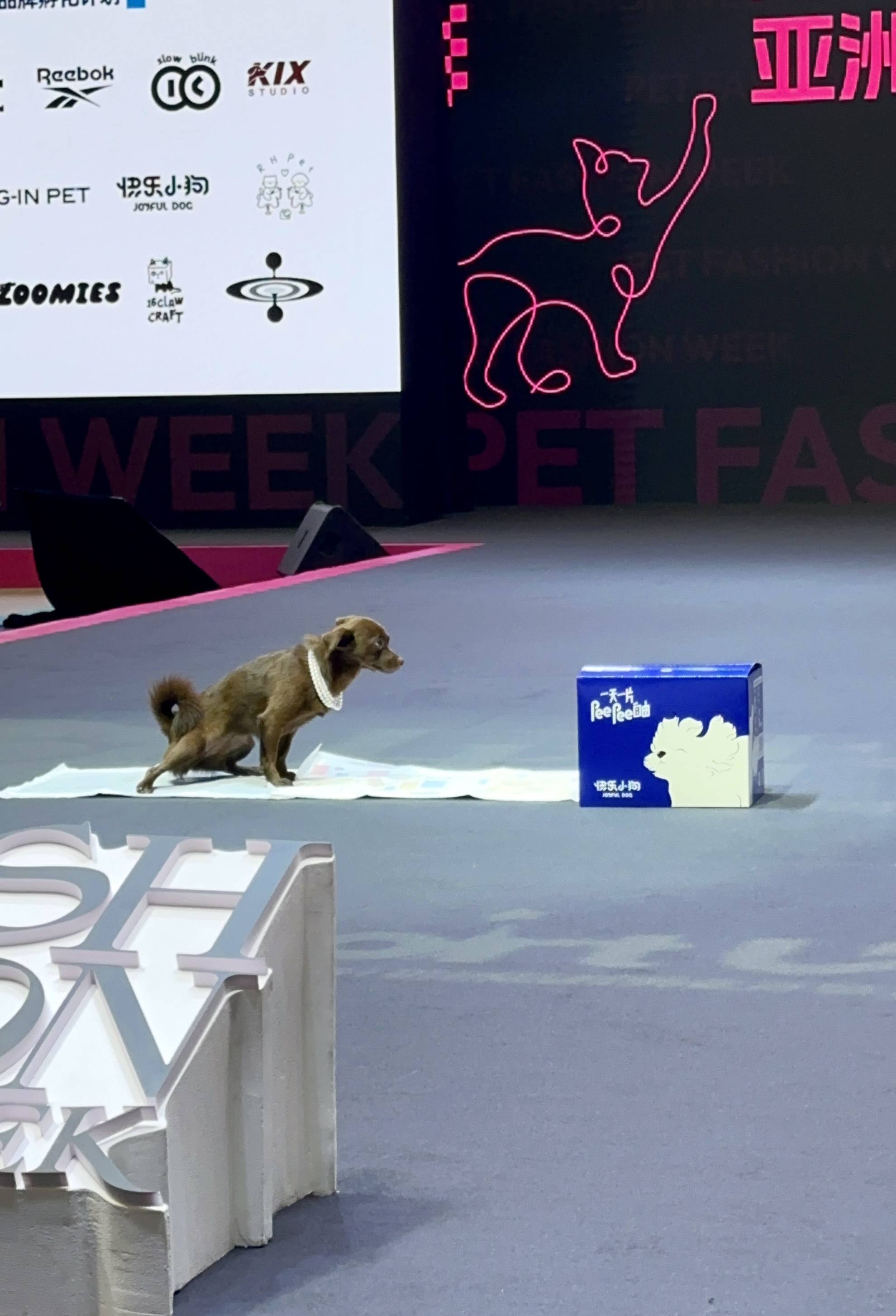 快乐小狗宠物尿垫亮相亚宠展 高强除臭锁水惊艳全场