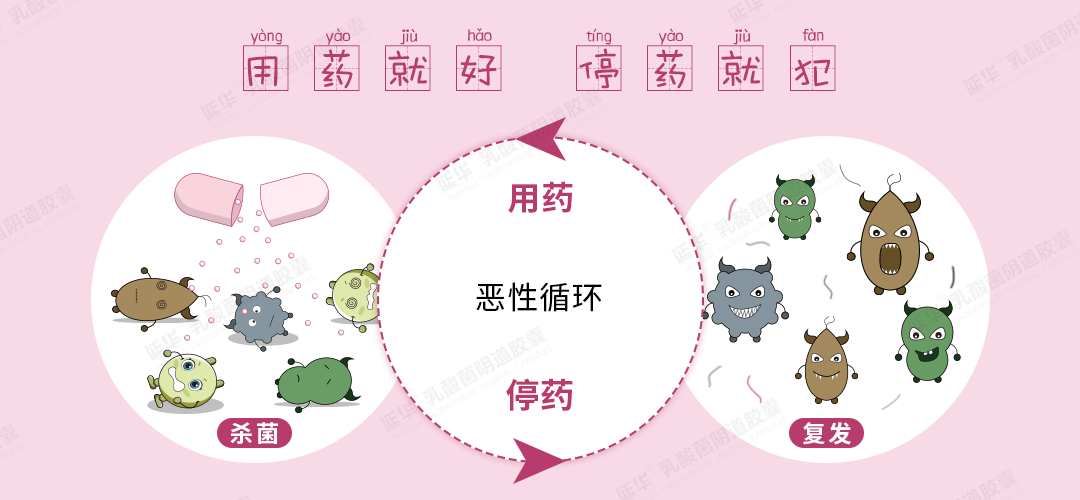 阴道微生态平衡疗法：阴道乳酸菌怎么来调节阴道微生态恢复微生态平衡的？