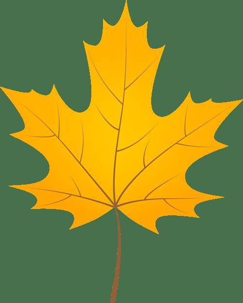 【佑安传播】秋高气爽也藏危机，佑安送上秋季防过敏攻略