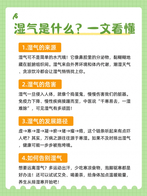 三伏天祛湿指南：抓住节气特点，这些方法排湿更高效