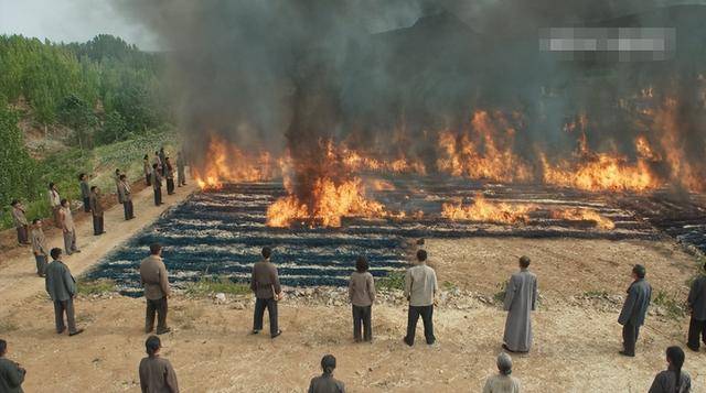 原创            原来她就是欧豪妈妈，长相标致气质优雅，难怪儿子能如此优秀