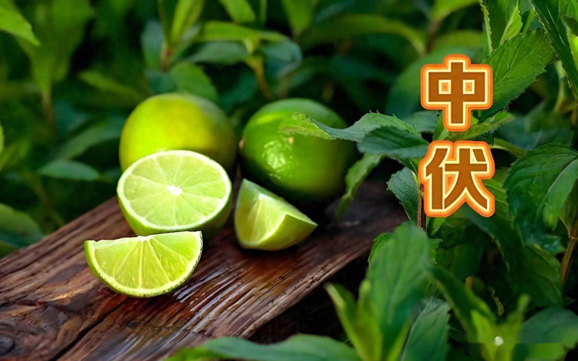 中伏到三伏结束，这4样多吃，养肝清心，防暑降温，强免疫