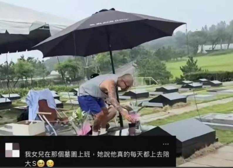 原创            陪伴12年被辞退？小杨阿姨一脸算计的样子，令马筱梅如吞了苍蝇