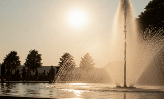 三伏天早餐换掉鸡蛋牛奶！帕金森患者这样吃，手不抖了，走路更有劲儿！