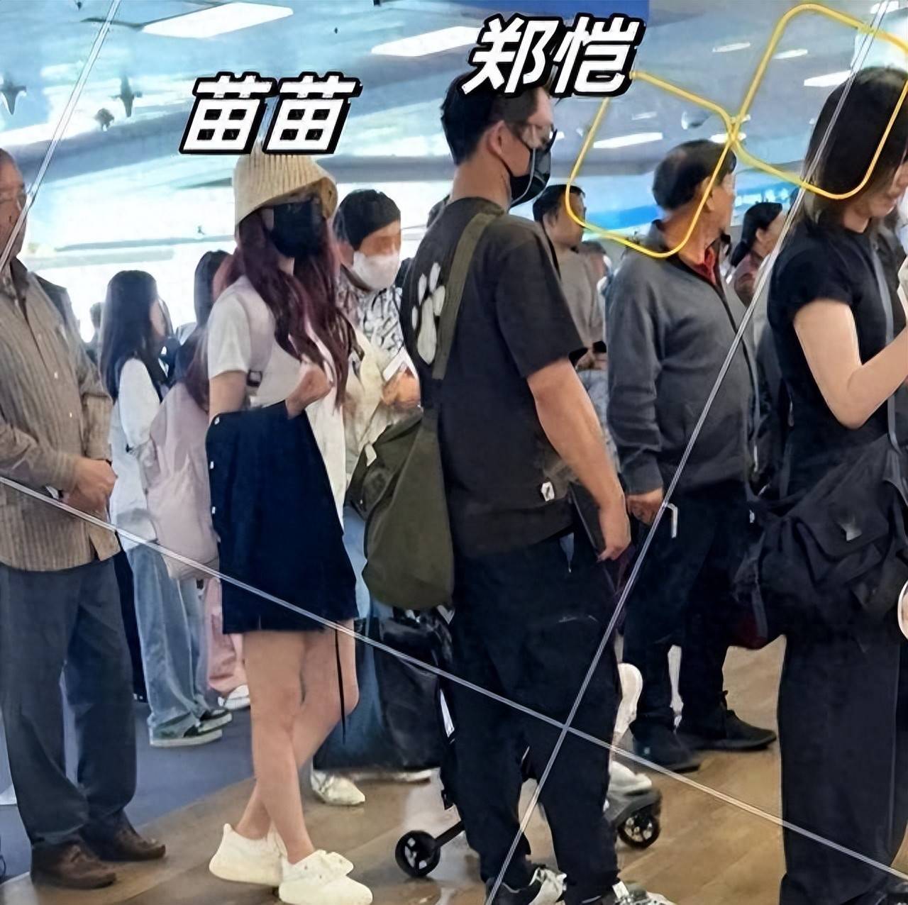 原创            郑恺和苗苗韩国度假，苗苗真的太漂亮了！郑恺“高攀”了