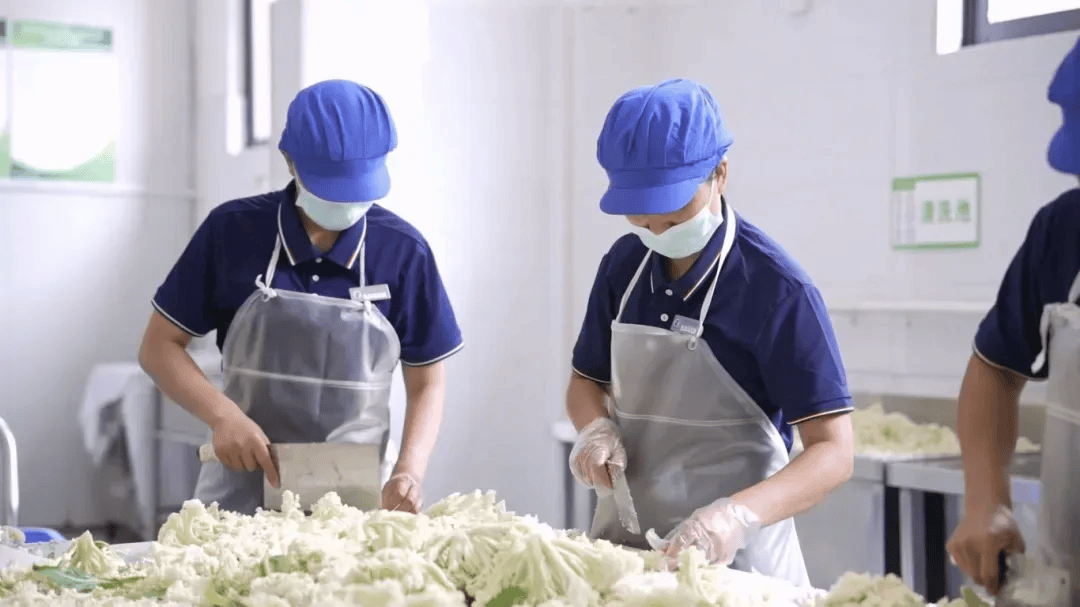 河南一地推出“妈妈食堂”，聘请160名家长到中小学帮厨，学校回应：招聘学生家长更年轻、更有干劲