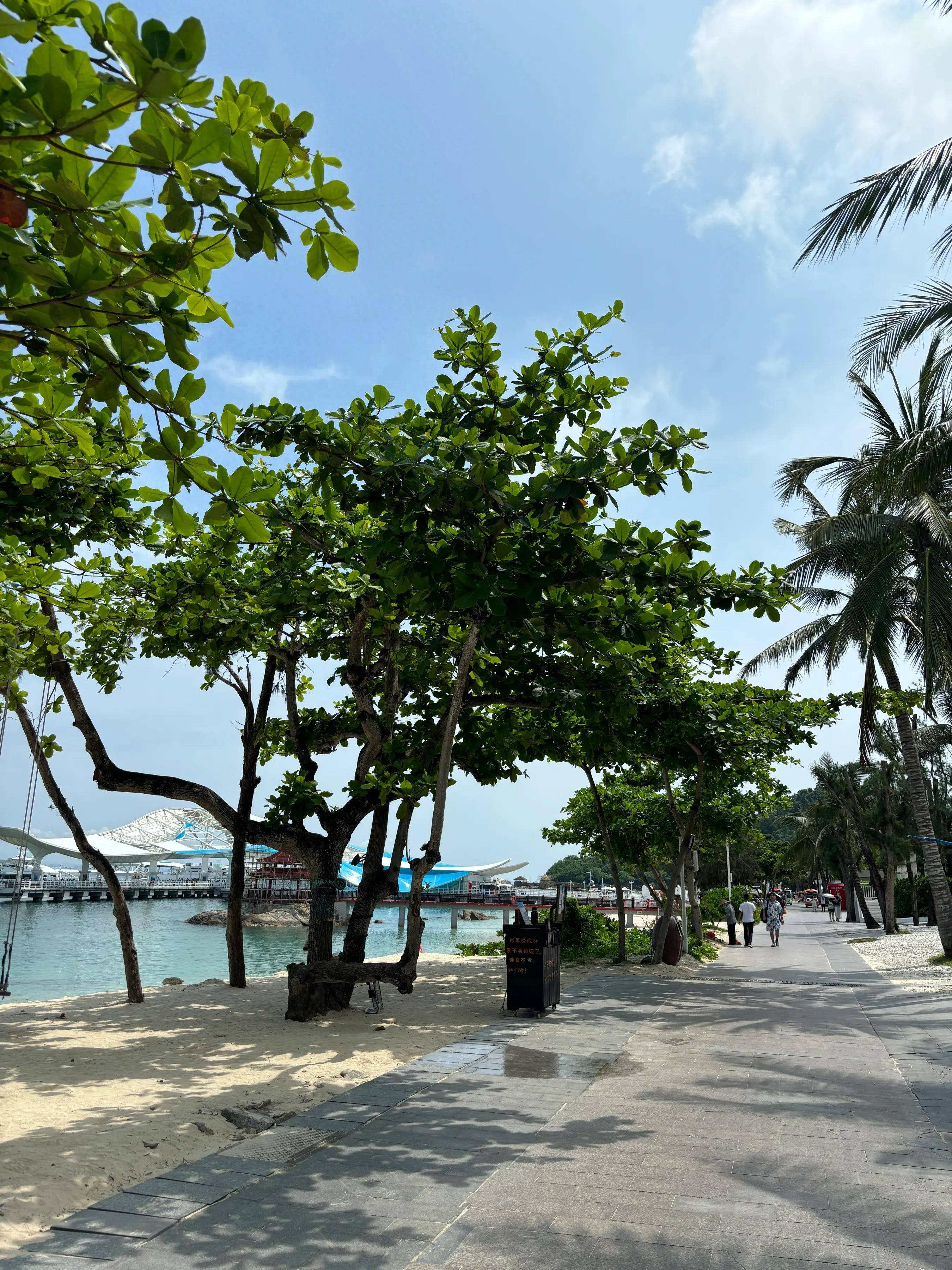 原创            提醒：你以为的3个好习惯，可能是血糖失控的祸根！