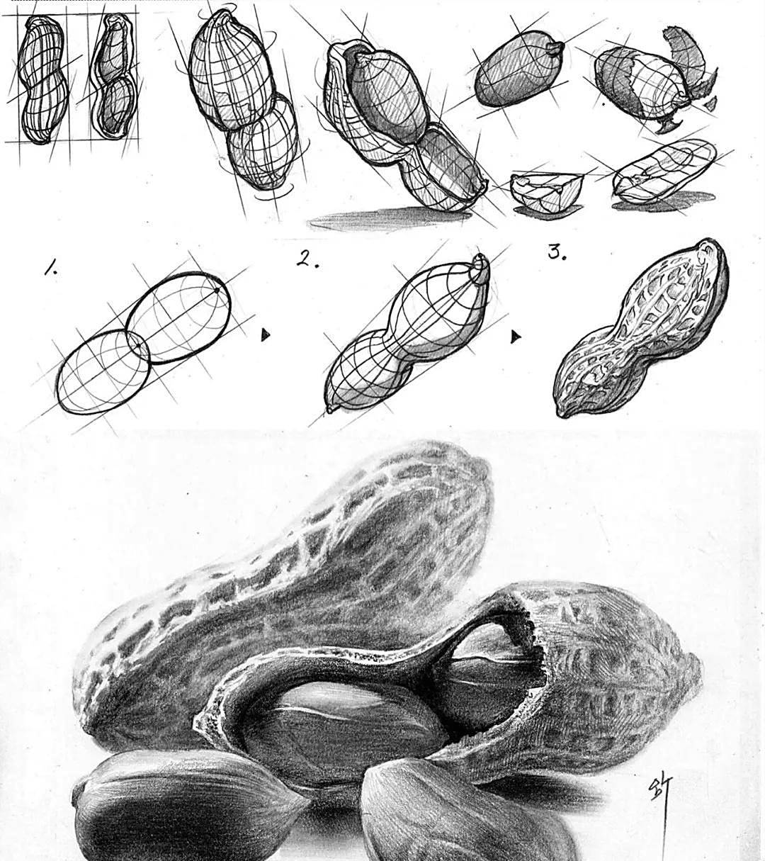 【清彩画影教育】绘画临摹