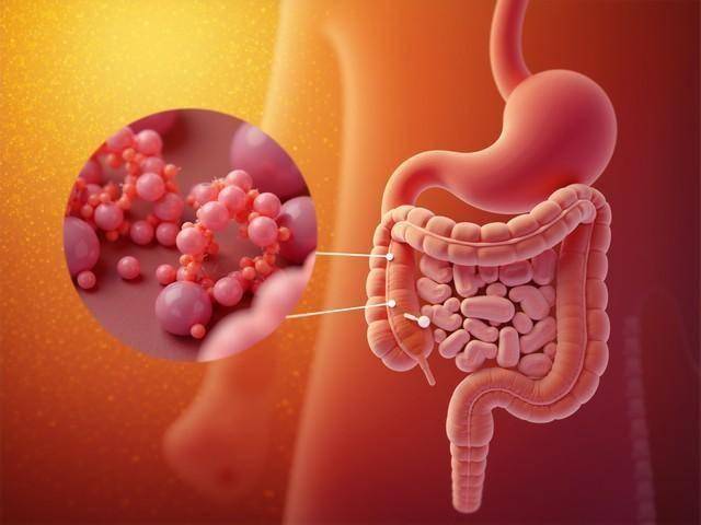 胃肠不好？10个口碑中成药：辨证选用，调畅脾胃