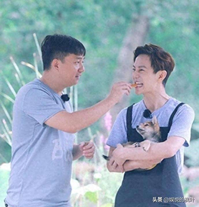 原创            乌镇黄磊何炅现身，差两岁却像两代人，张子枫看着好矮不像有160