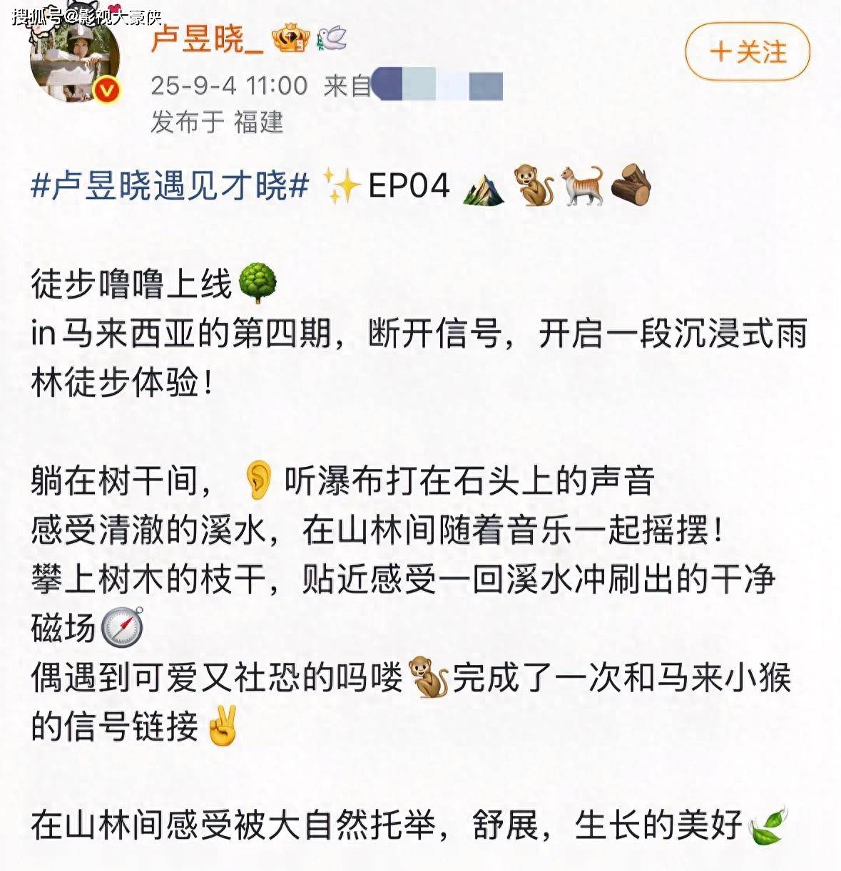 原创            卢昱晓雨林徒步，躺树枝喝泉水、被猴子抢相机，一点明星架子没有