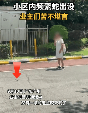 广州一小区蛇群泛滥，大蛇小蛇到处窜，去年有业主被毒蛇咬伤