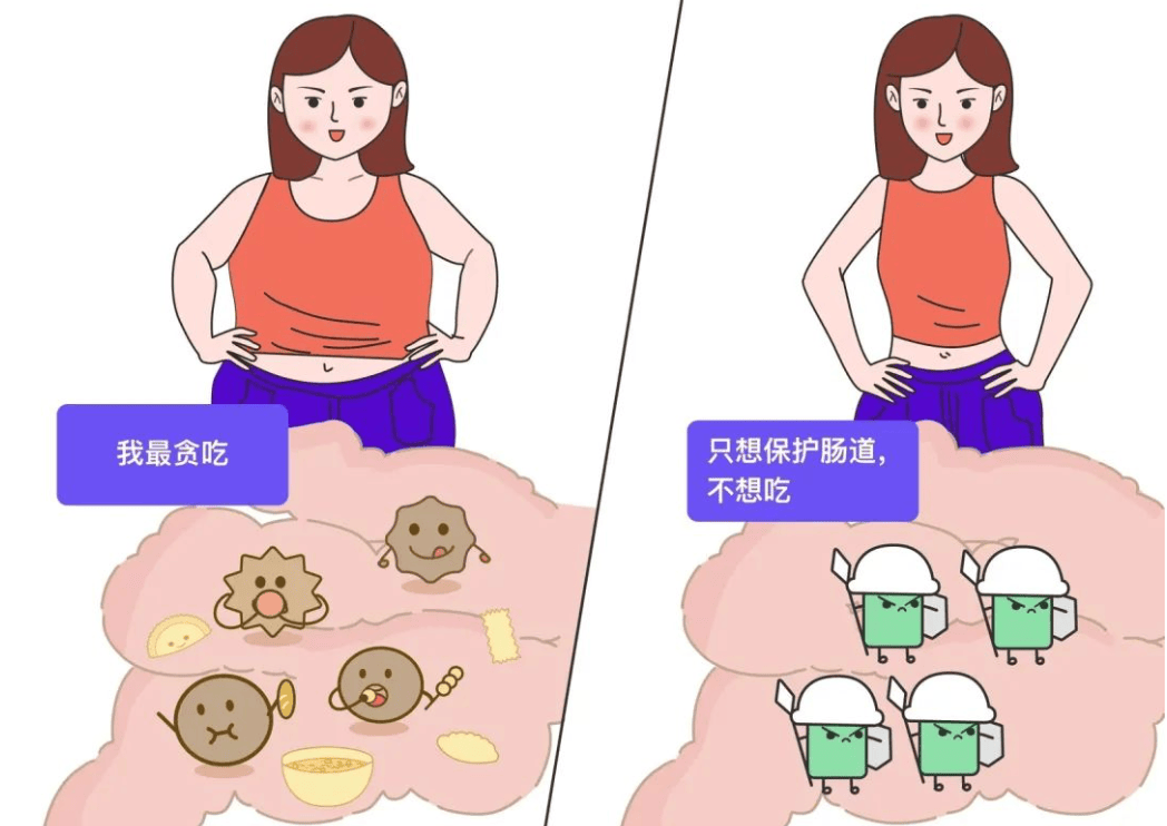 甄轻松:别再饿肚子了!养好肠道菌群，不动也能悄悄瘦!