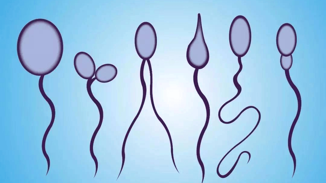 男人精子成活率低怎么办？做好6件事能提高精力活力！