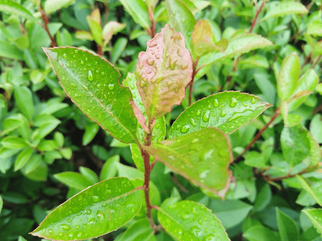 原创            看见努力孩子厌学过程，才懂父母忽略空心孩子内心的痛苦，太误事