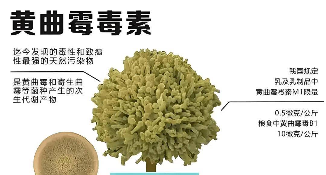 原创            你家筷子有“剧毒”，比砒霜毒12倍，长期使用会让肝癌找上门