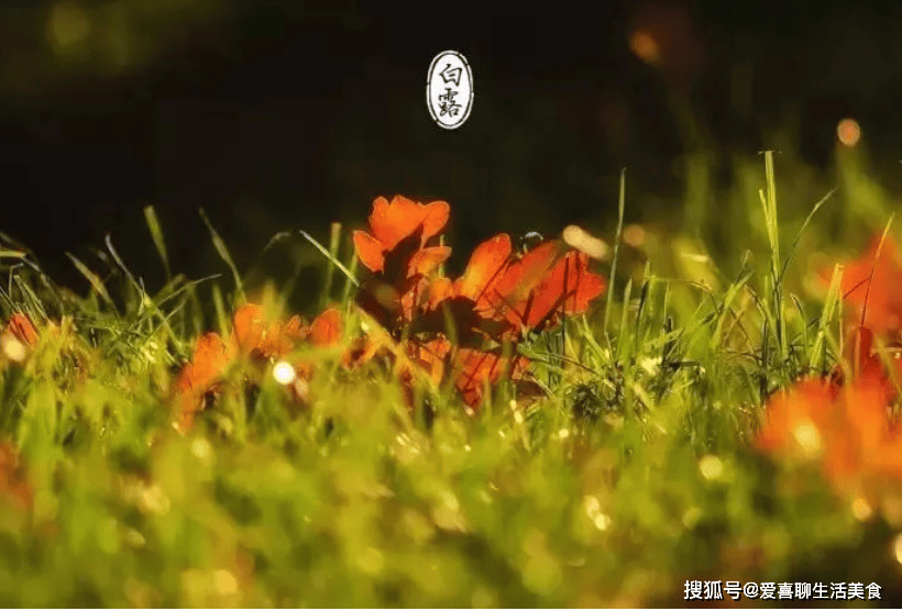 白露饮食有讲究，提醒：不吃5样、多吃3样、做好3事，尽早准备！