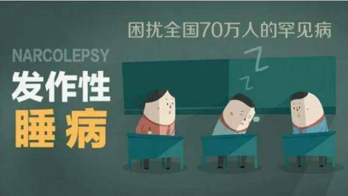 发作性睡病禁忌之高脂红烧肉：隐匿的“清醒阻碍者”