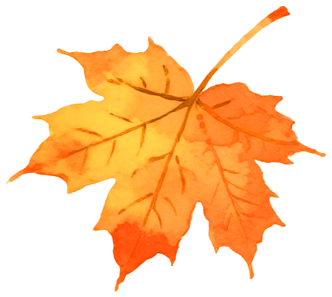 到了秋季，你是否会莫名情绪低落、疲惫不堪？这是“悲秋综合征”