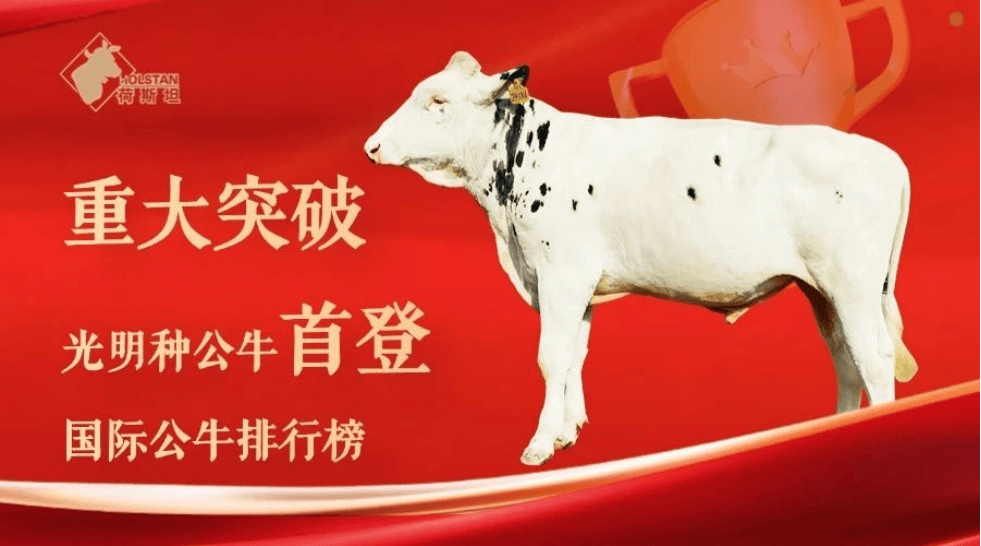 光明乳业2025半年报出炉：核心指标稳中向好！