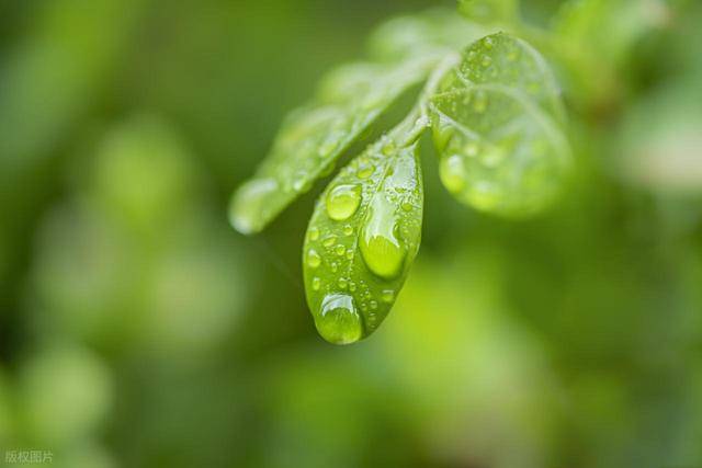 男人不再爱你，记住两句话，你便不会输