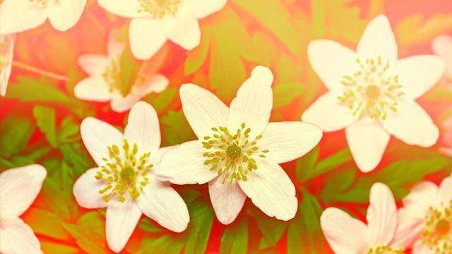 男人想和你结束关系，会有一个很明显的表现