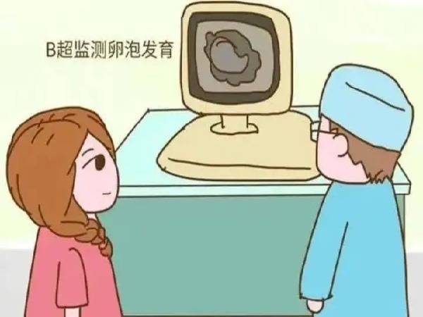 导致卵泡发育过慢的因素有哪些?爱宝来为您解答