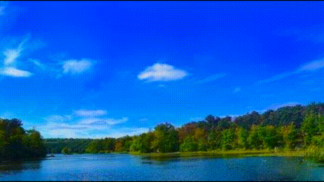 垣曲县历山镇：专家田间“问诊”支招   科技赋能“谷油轮作模式”