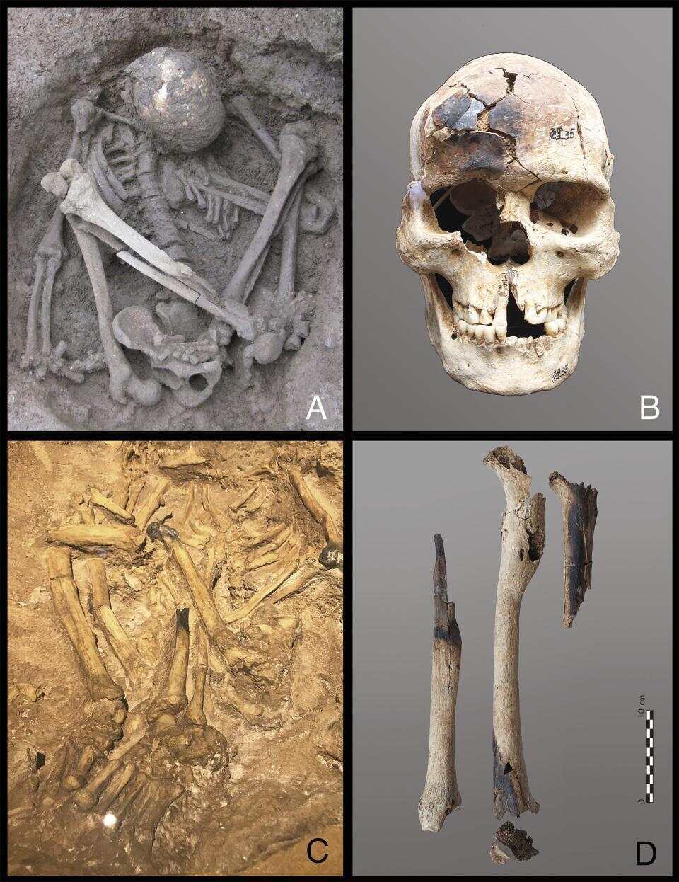 东南亚惊现1.2万年前木乃伊，或是世界上已知最古老木乃伊；此前，埃及木乃伊广为人知