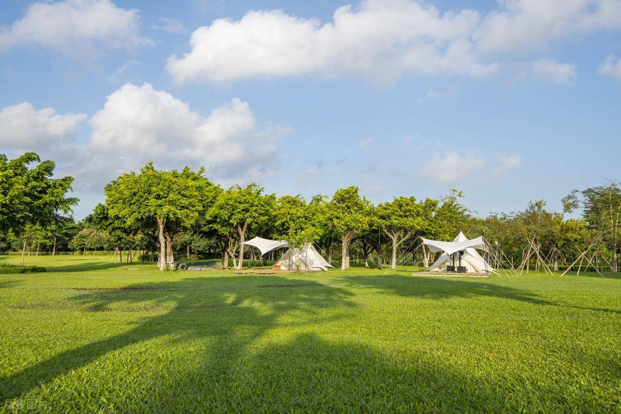 紧急避孕药怎么选？四大主流品牌深度对比与科学避坑指南