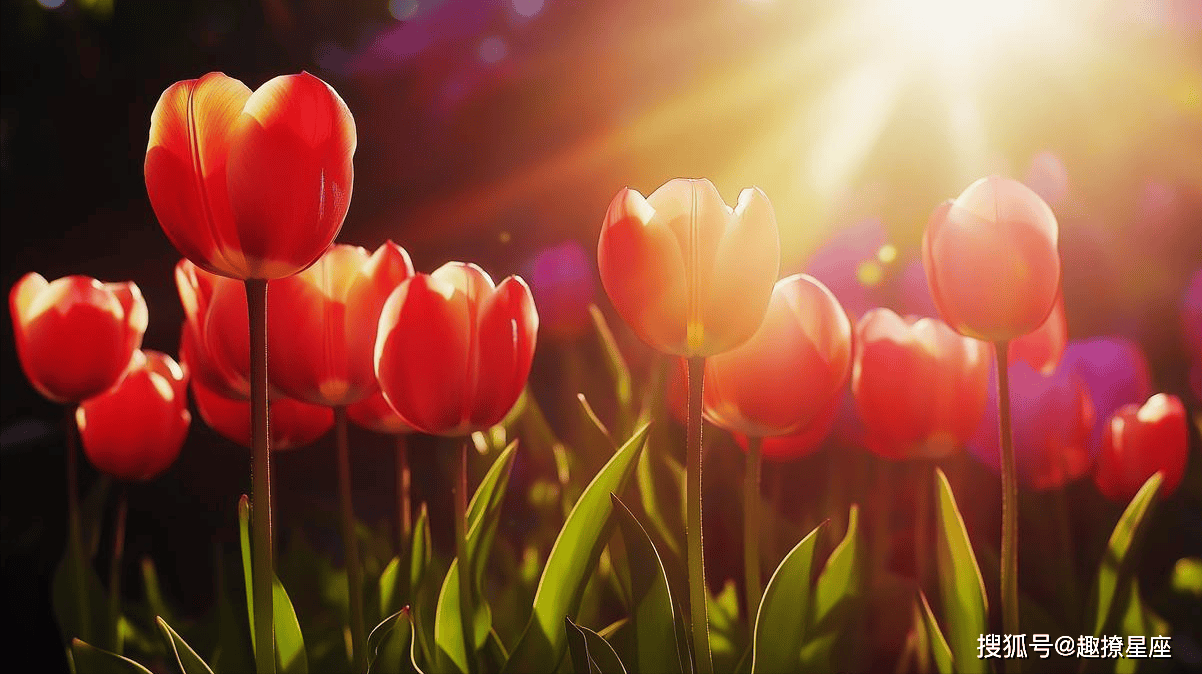 感恩相遇，永远牵挂